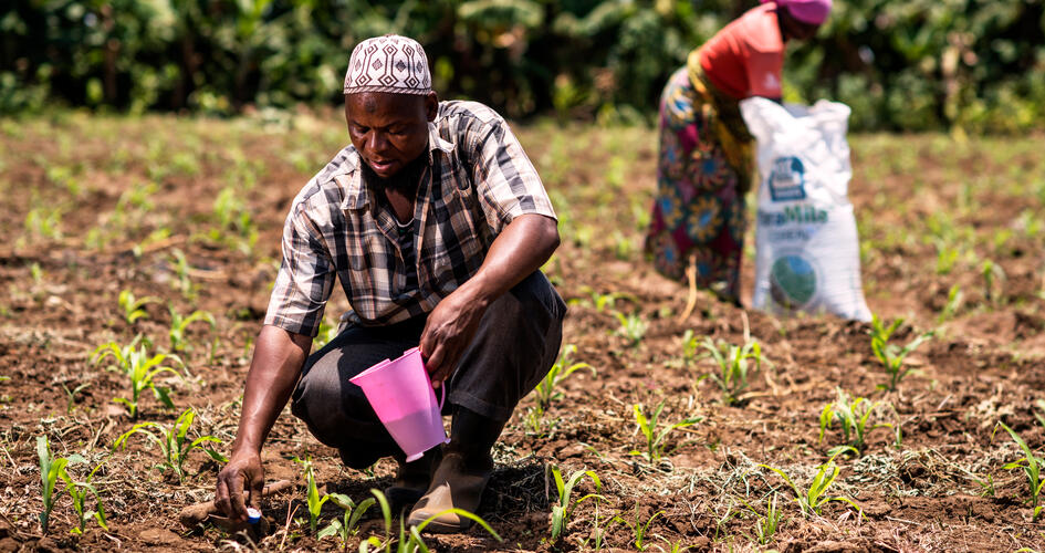 Elibariki Kimaro applying fertilizer in soil