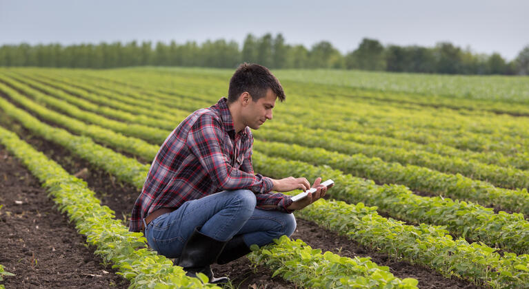 Digital farming