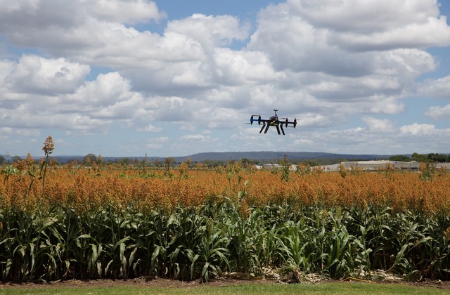 Agricultura de precisão: entenda como utilizar esse sistema
