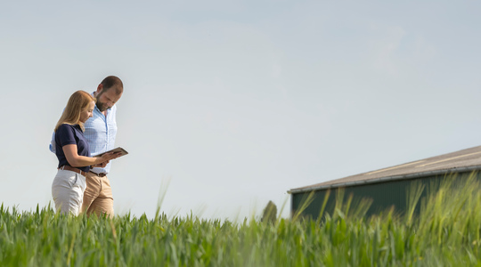Osallistu kilpailuun ja voita YaraVita-lehtilannoitteita!