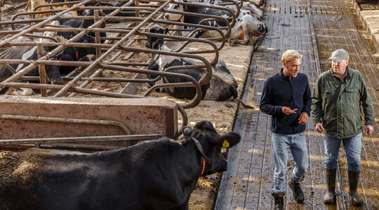 Schuift u aan bij de Yara Melkvee podcast?