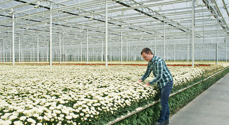 Yara nieuwsbrief voor de glastuinbouw februari 2021