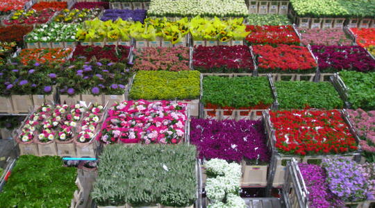 YaraTera SUBSTRAFEED, binnenkort nieuwe lay-out