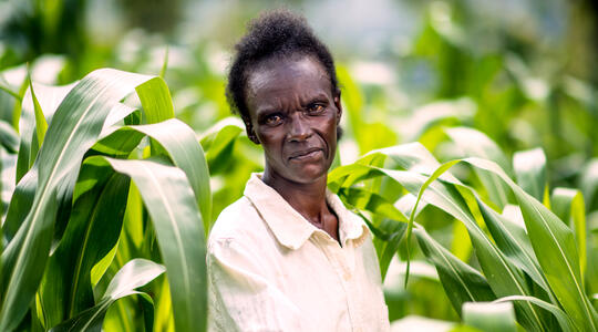 Agnes Atoko image