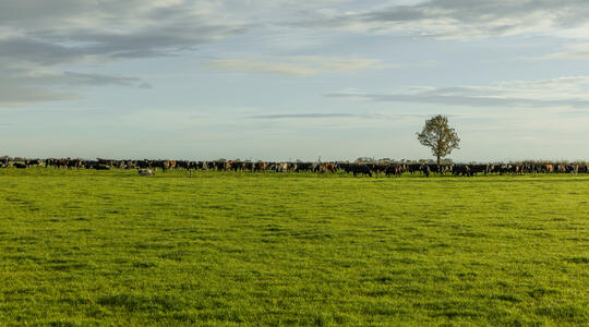 Misverstanden over KAS en ureum