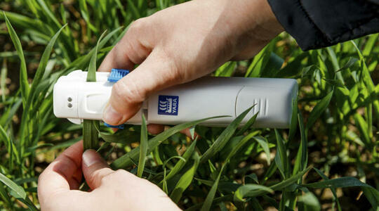 N-Tester, outil de diagnostic de la nutrition azotée