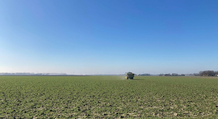 Tractor strooit kunstmest op tarweland