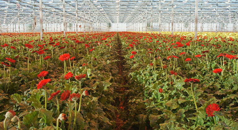 GlasActueel 09 - december 2020