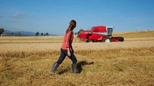 Une agricultrice marche dans un champ de blé