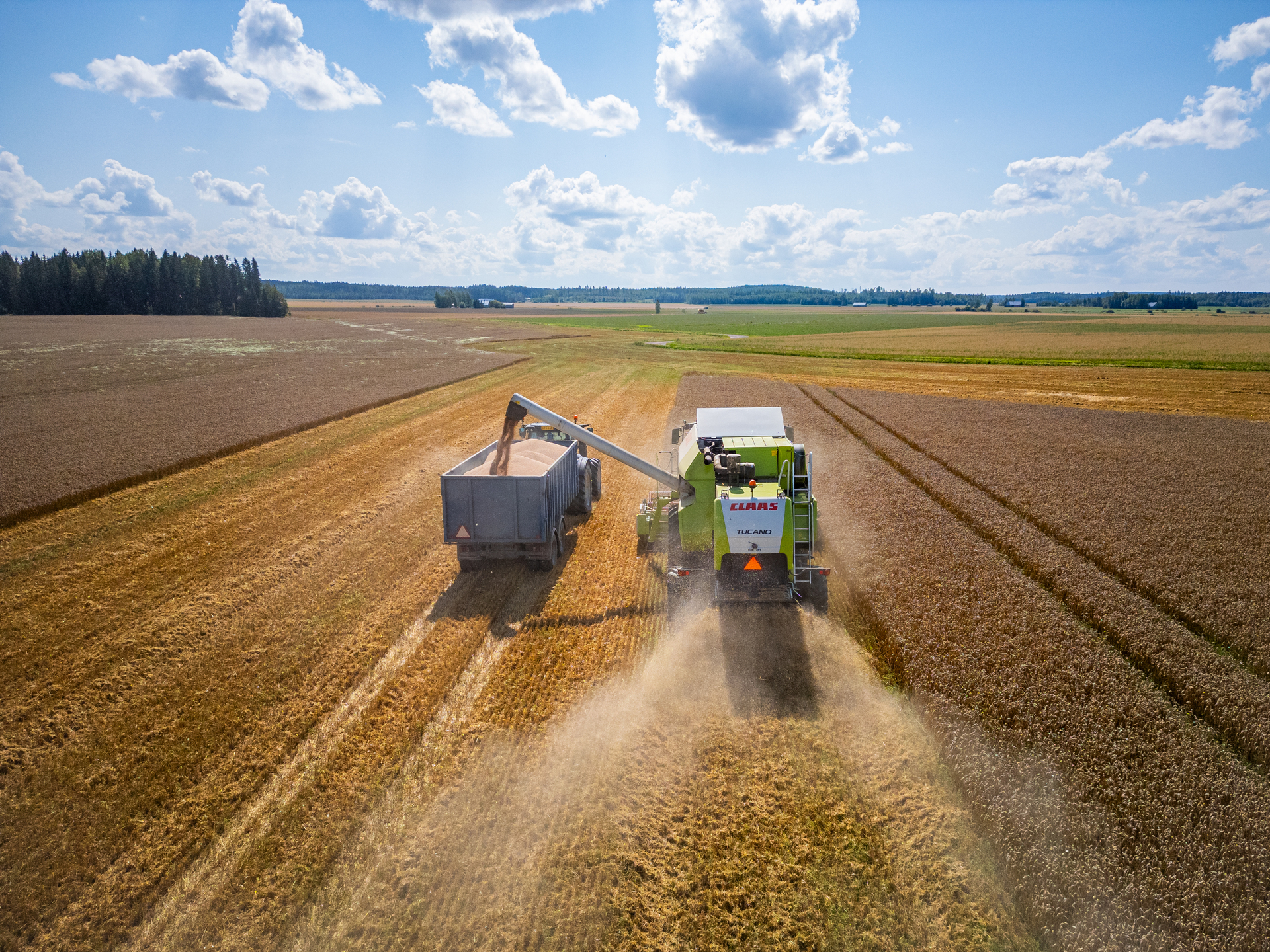 Wheat being harvested after being grown with YaraBela™ - Nitrate fertilisers