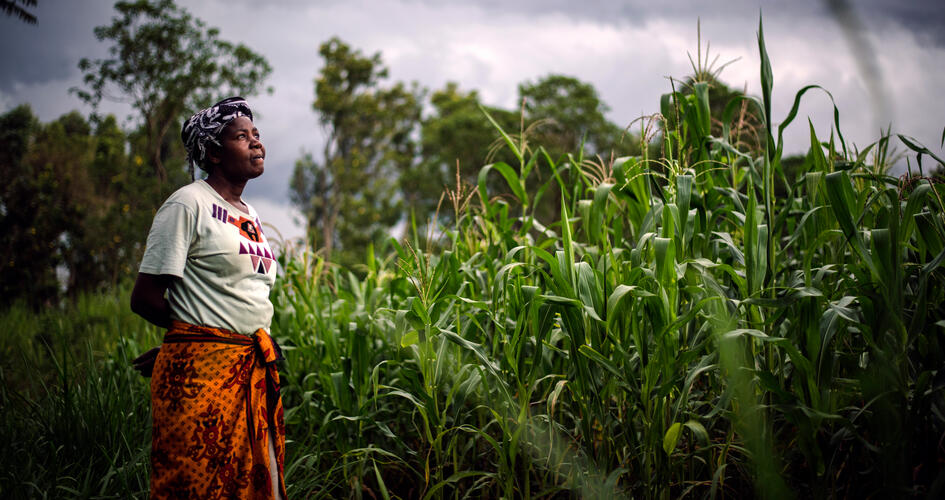 Anastancia Kulundu looking up from a maize farm