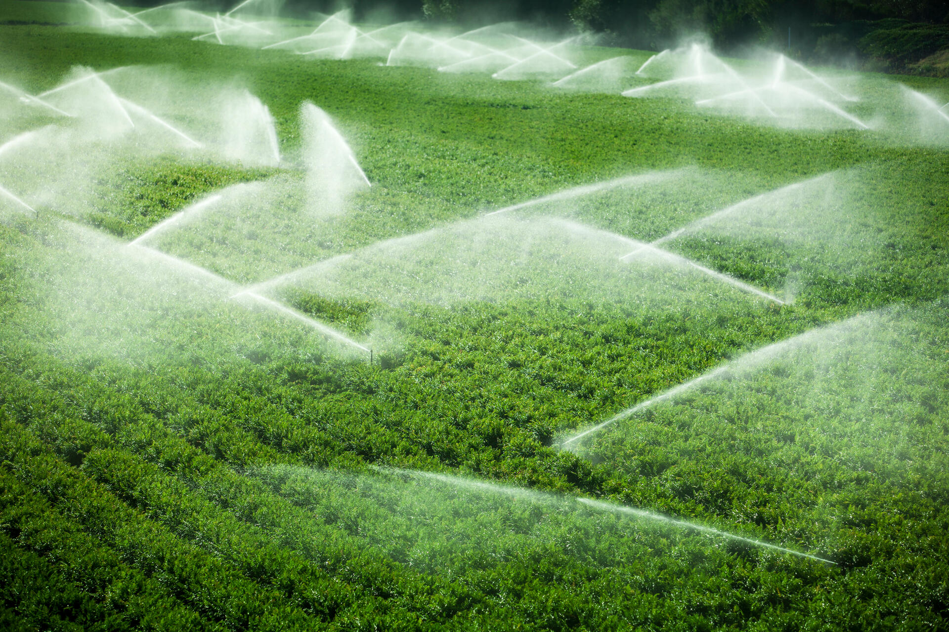Field fertigation using YaraRega™
