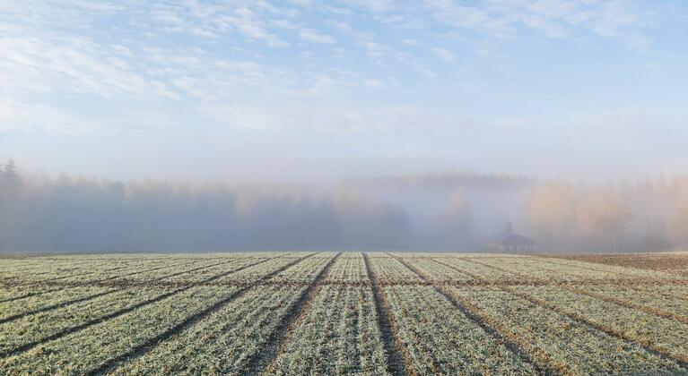 AkkerActueel 11 - november 2020