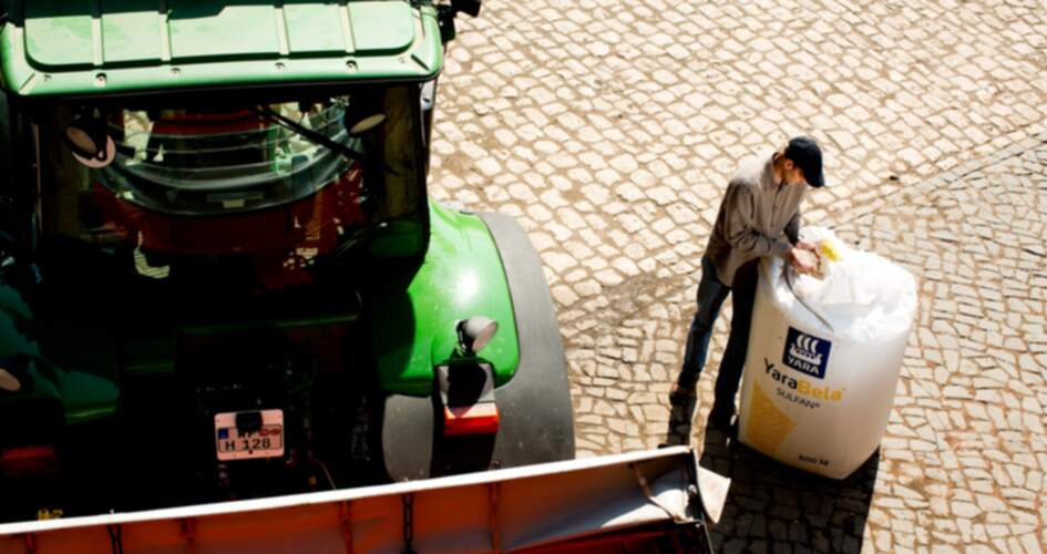 Homme avec grains de soufre dans les mains