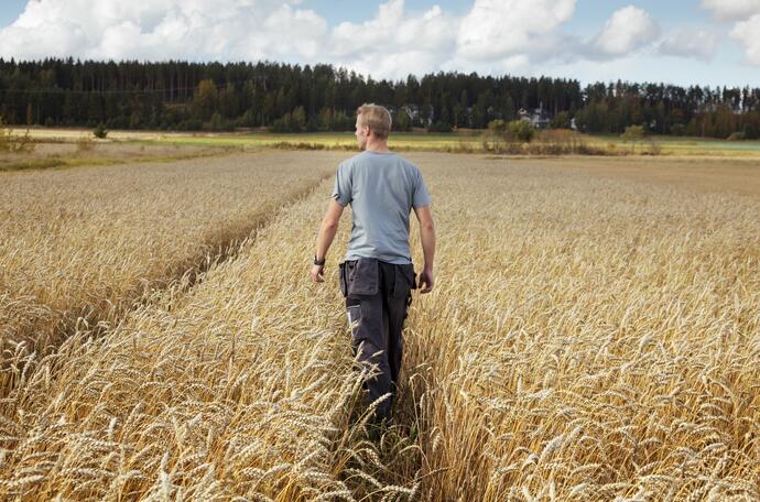 Un agriculteur dans un champ de blé