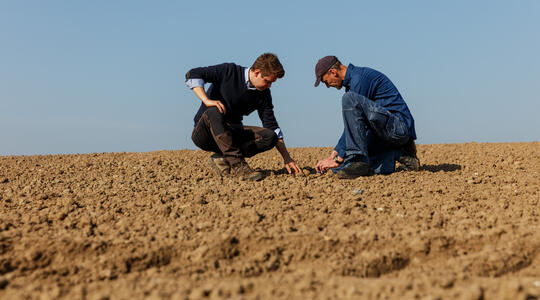 Un agriculteur dans un champ