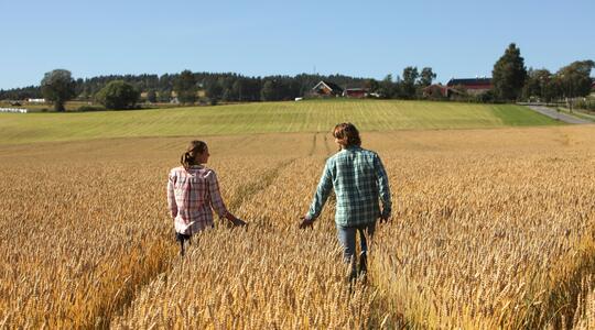 Un couple d'agriculteur dans un champ de blé