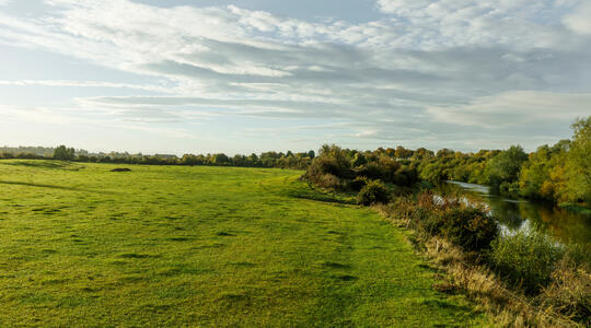 4-Punktsgaranti - Miljø