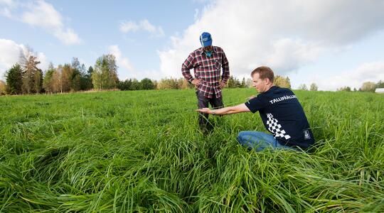 Selenium en mastitis