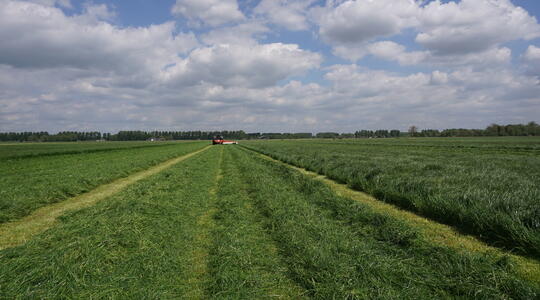 grassland cut