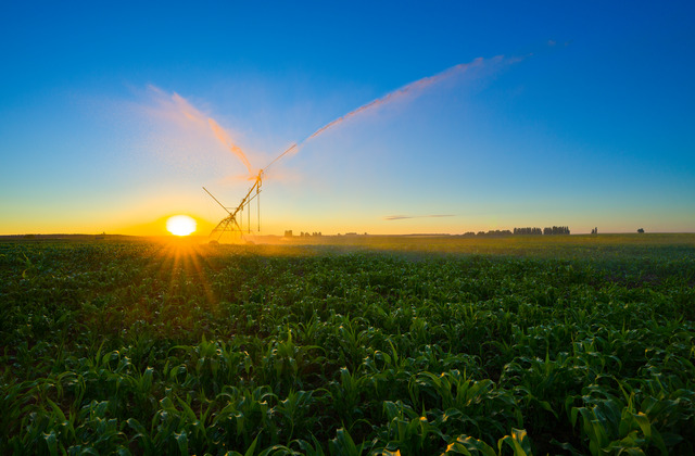 YaraVita ZINTRAC e Atfarm — Nutrição e Monitoramento