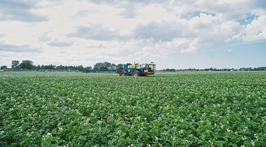 Delvano spuit in aardappelen