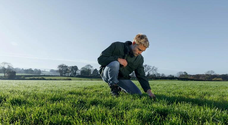 GrasActueel 19 december 2020