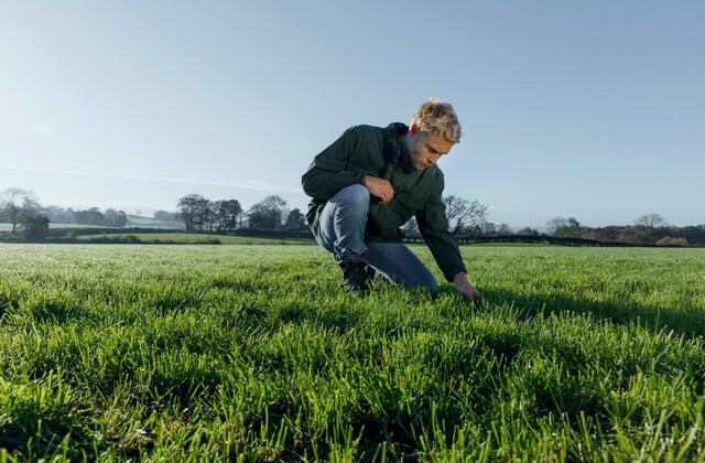 Macro e Micronutrientes nos Fertilizantes