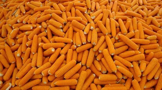 Downloaden YaraVita BIOTRAC flyer