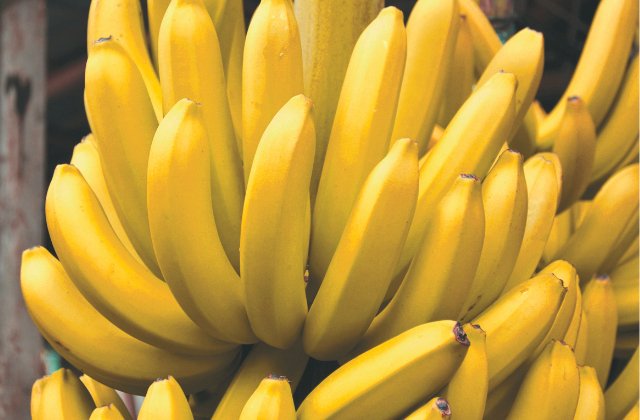 banana