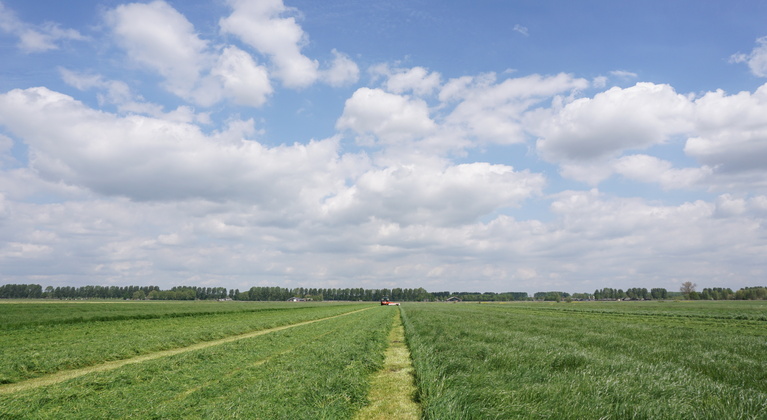Eerste snede op grasland