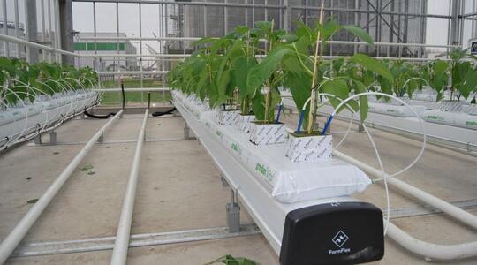 Peter de Vries, fertigation manager bij Yara, legt in een reeks van podcasts uit was rol is van de verschillende elementen bij verschillende glasgroentegewassen. In deze in eerste podcast van deze reeks legt Peter de basis uit en komt daarmee ook met nieuwe inzichten.