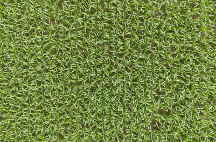 atfarm