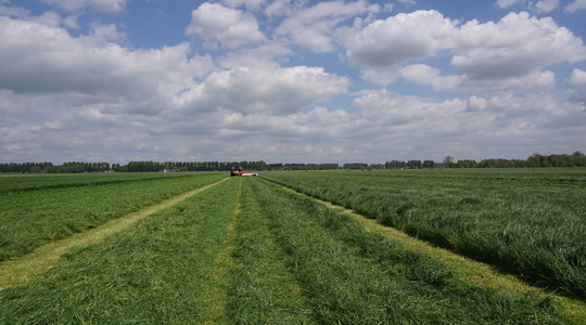 Maaien van eerste snede op grasland