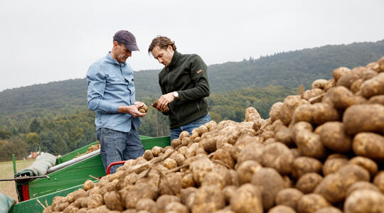 Aantoonbaar hoger resultaat met YaraVita SOLATREL